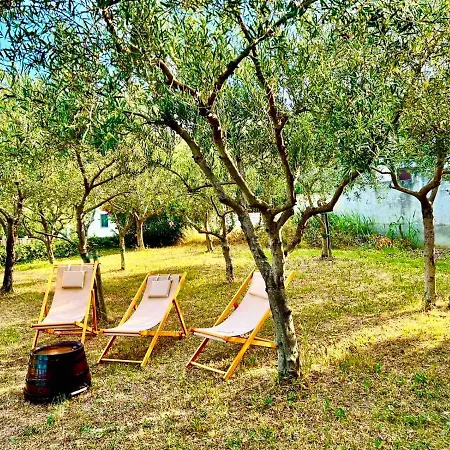 Apartma Teja-dekani Dekani